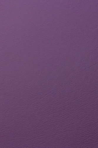 purple-iris-454291