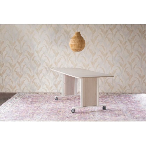_Ergotafel Albatros (staal)